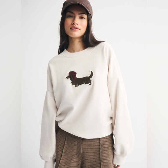 Abercrombie & Fitch Sweaters - Dog Sunday Crew